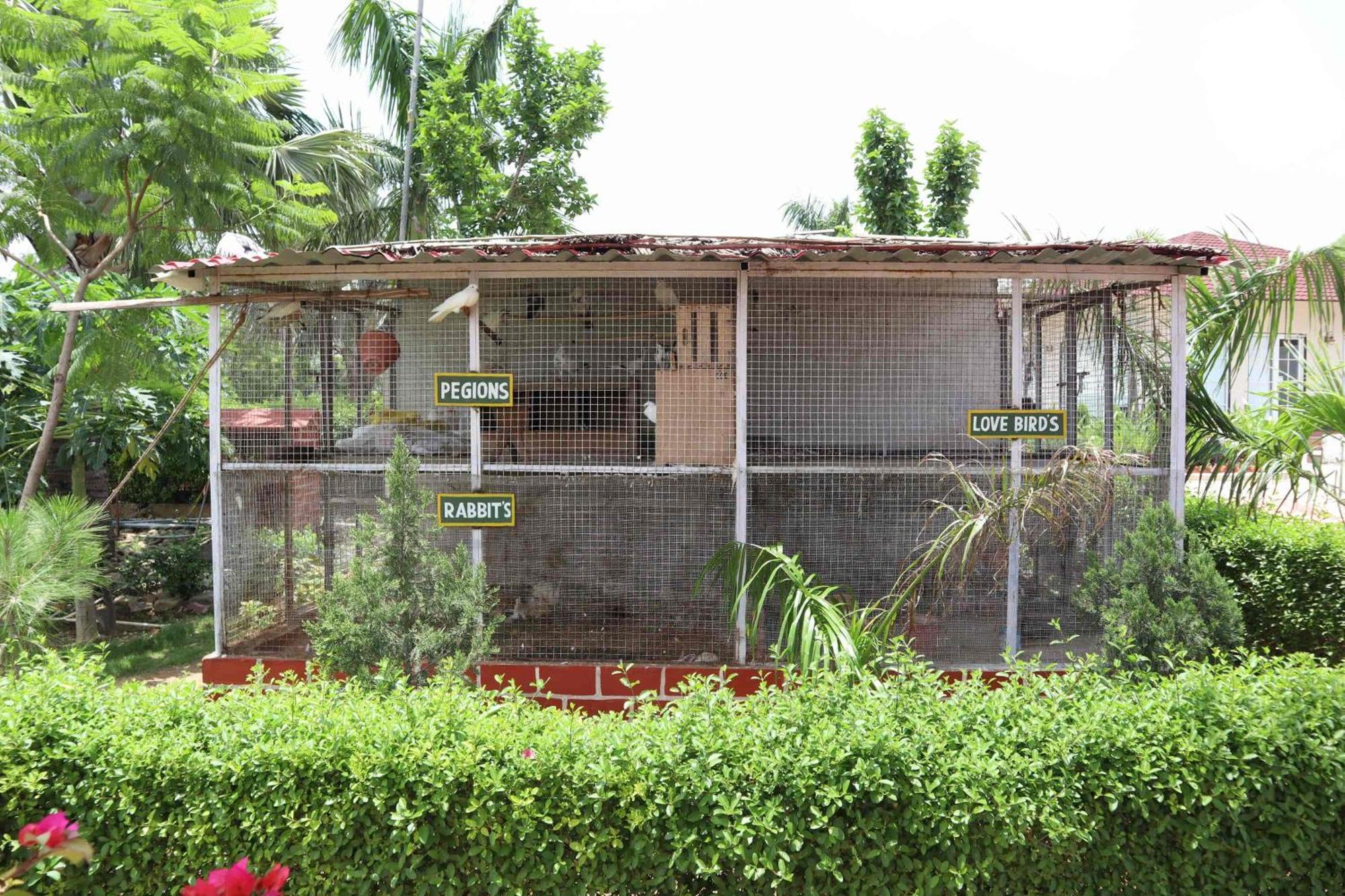Desi Thath Resort Alwar Exterior photo