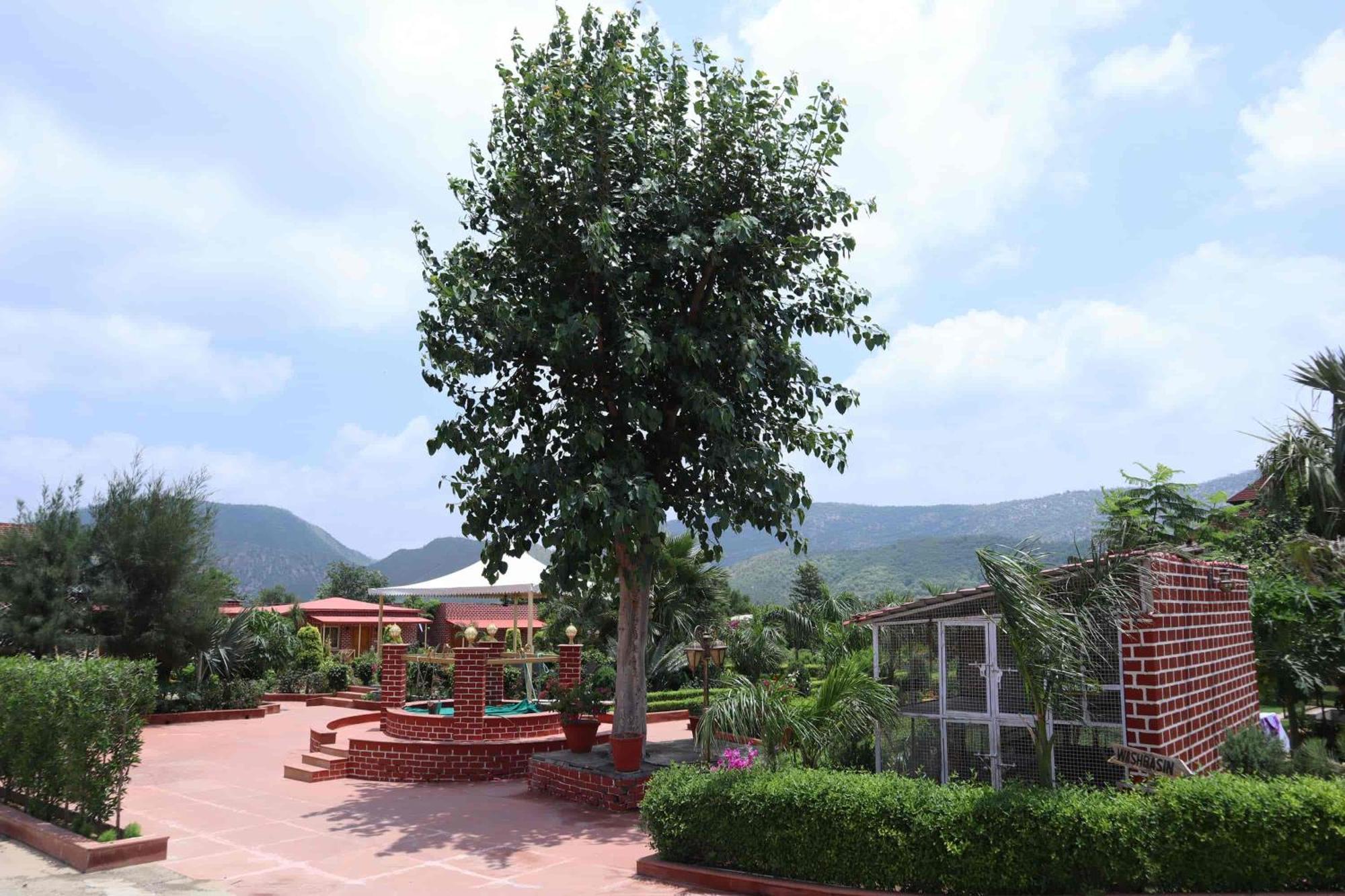 Desi Thath Resort Alwar Exterior photo